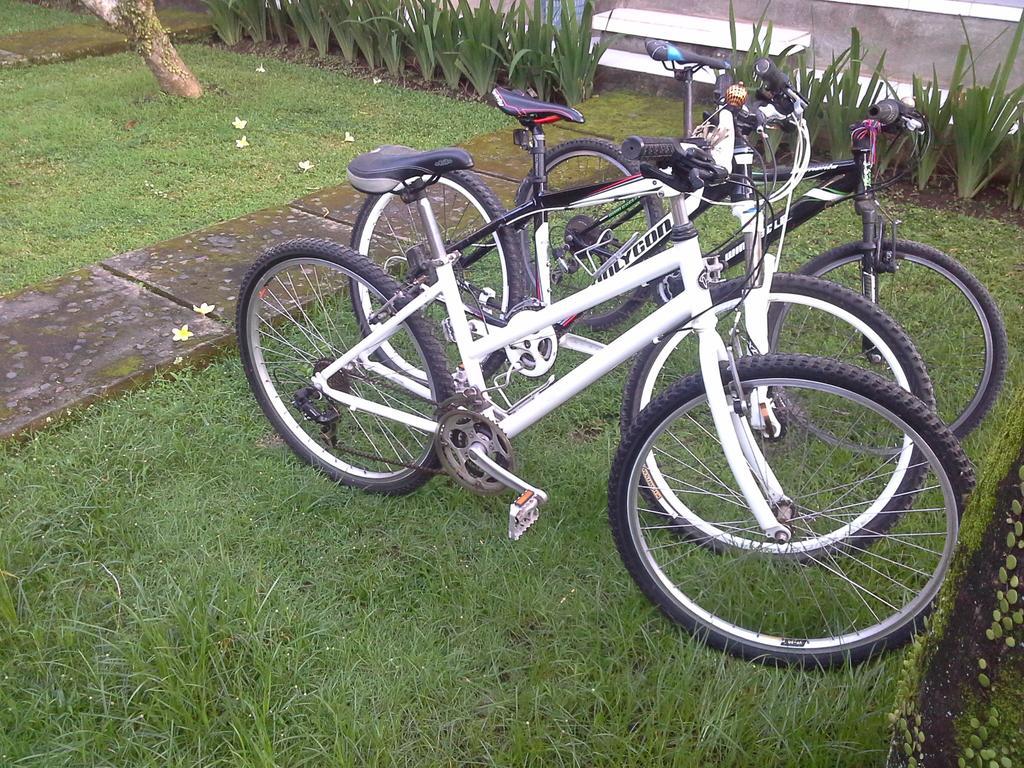 Dewi Ayu Accomodation Ubud Zewnętrze zdjęcie